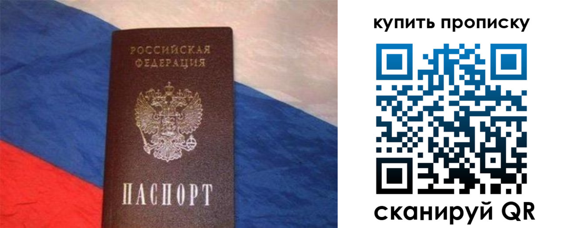 прописка штамп в Ярославской области